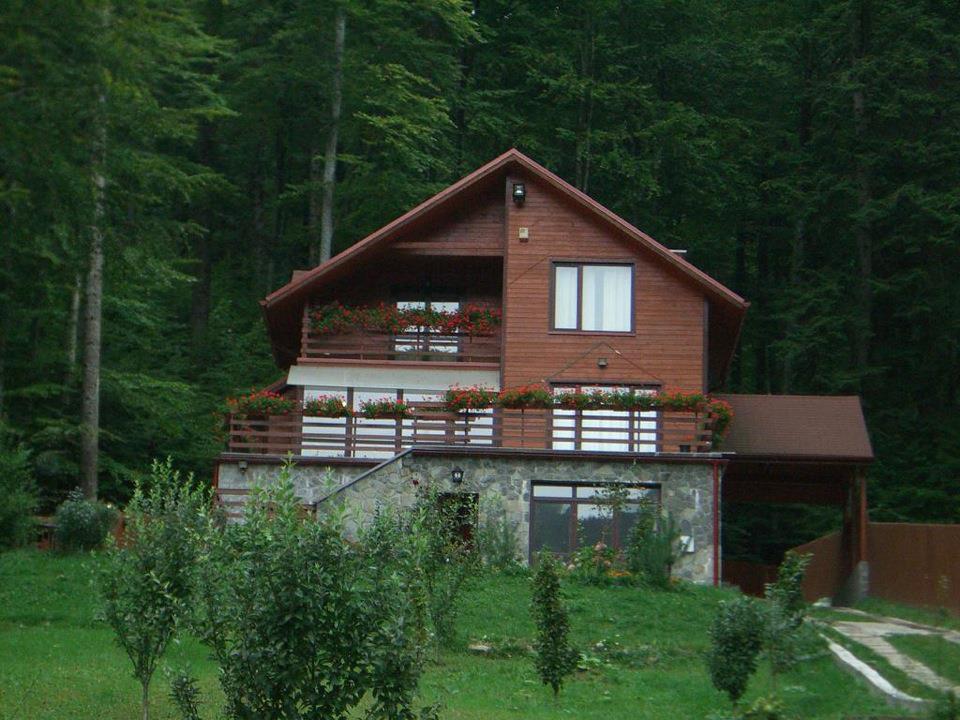 Villa Mara Sinaia Exterior foto